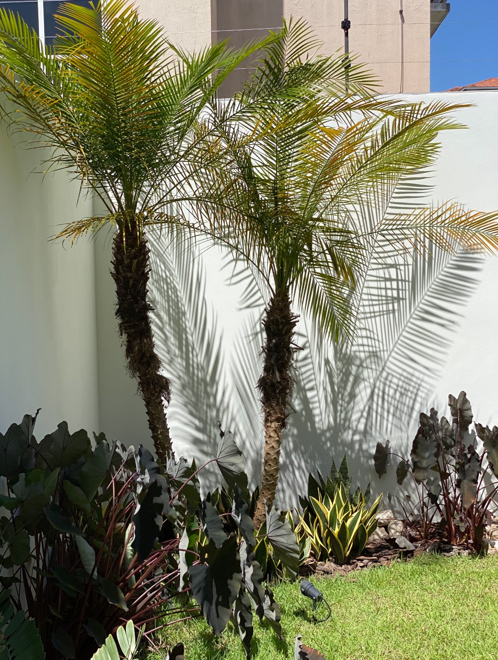Especialistas en arquitectura en Panamá, diseño de interiores y paisajismo. Crea espacios únicos y verdes para viviendas y negocios.