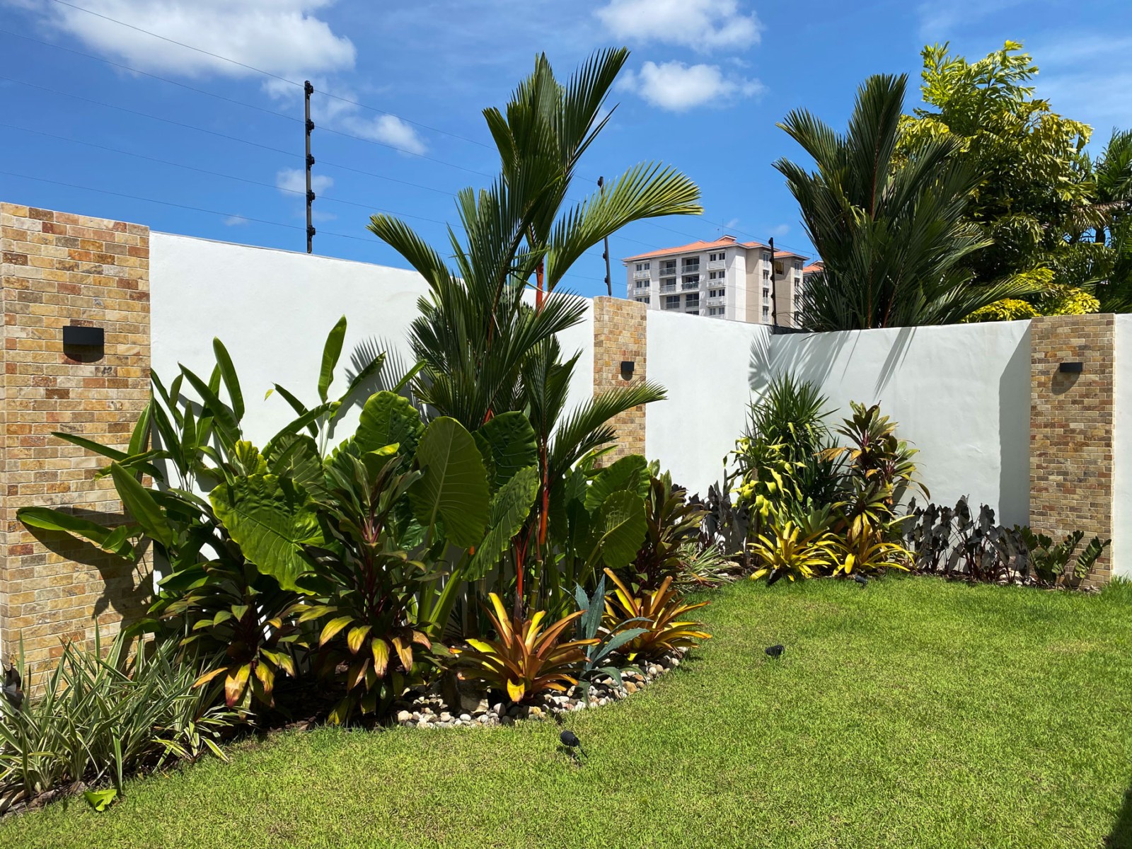 Especialistas en arquitectura en Panamá, diseño de interiores y paisajismo. Crea espacios únicos y verdes para viviendas y negocios.