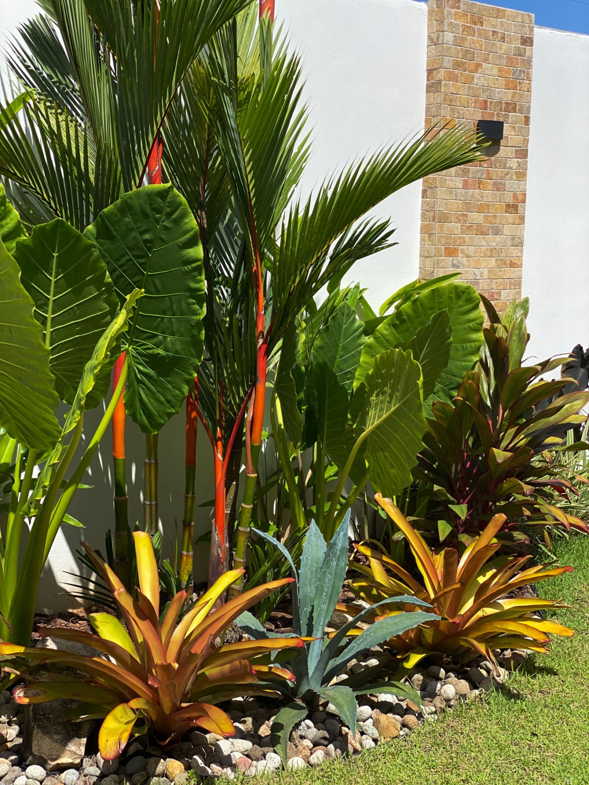 Especialistas en arquitectura en Panamá, diseño de interiores y paisajismo. Crea espacios únicos y verdes para viviendas y negocios.