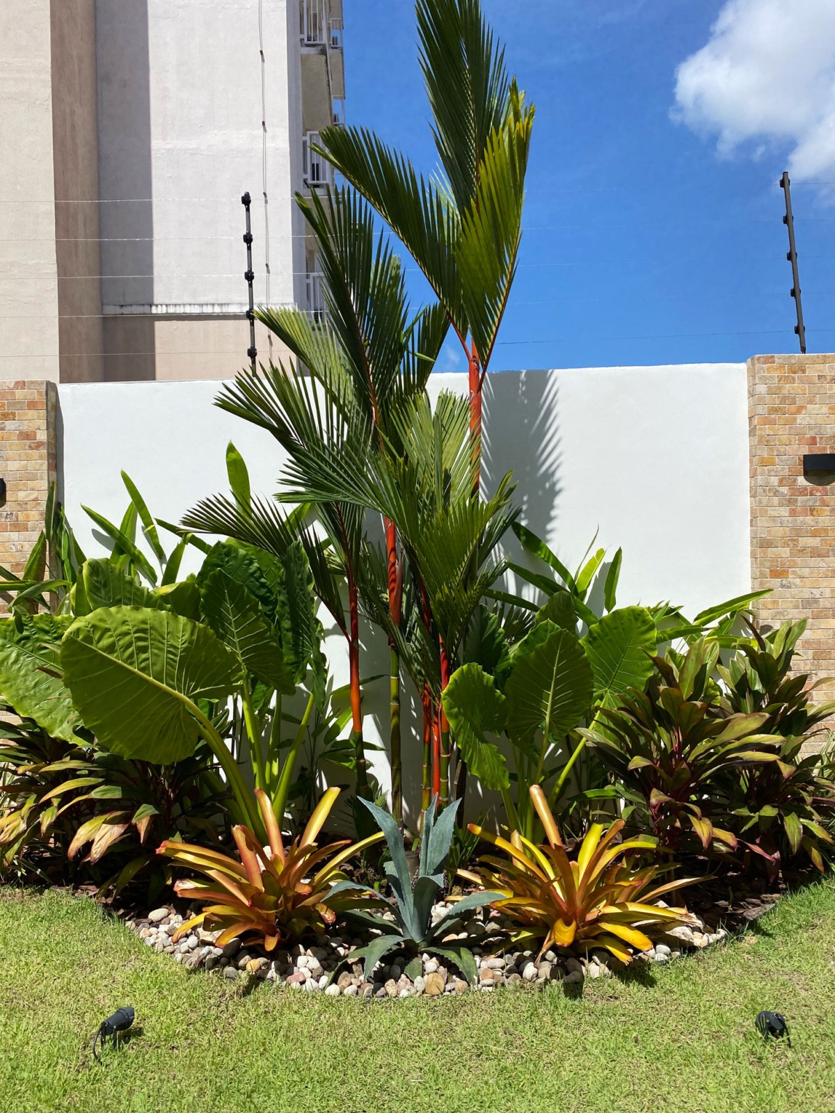 Especialistas en arquitectura en Panamá, diseño de interiores y paisajismo. Crea espacios únicos y verdes para viviendas y negocios.