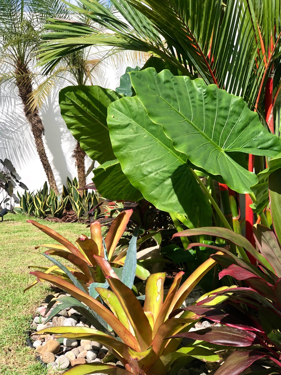 Especialistas en arquitectura en Panamá, diseño de interiores y paisajismo. Crea espacios únicos y verdes para viviendas y negocios.