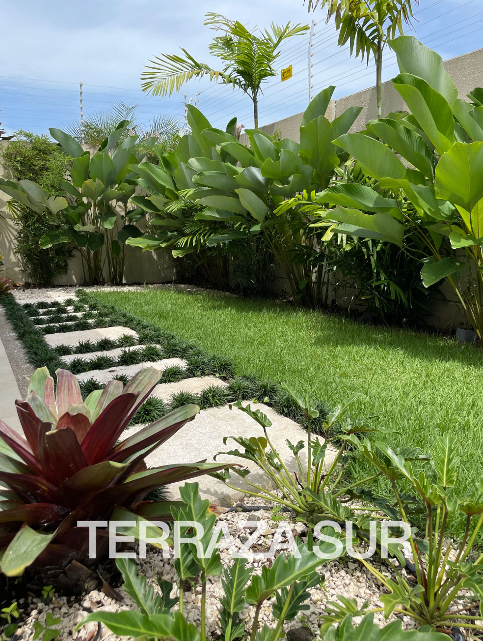 Especialistas en arquitectura en Panamá, diseño de interiores y paisajismo. Crea espacios únicos y verdes para viviendas y negocios.
