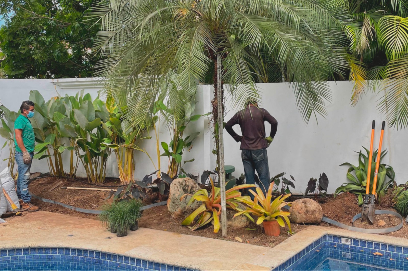 Especialistas en arquitectura en Panamá, diseño de interiores y paisajismo. Crea espacios únicos y verdes para viviendas y negocios.