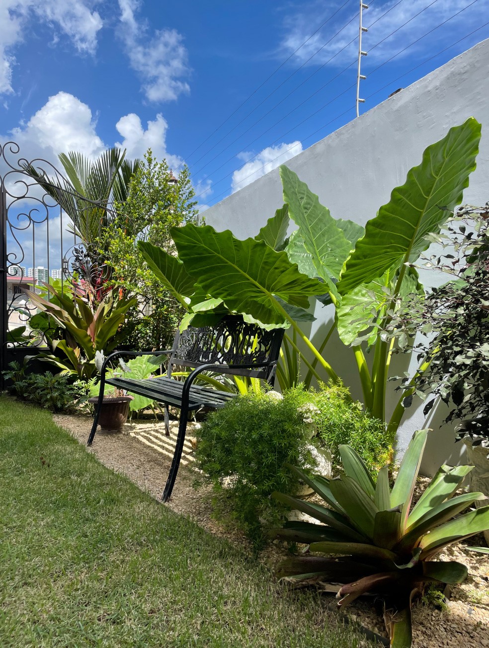 Especialistas en arquitectura en Panamá, diseño de interiores y paisajismo. Crea espacios únicos y verdes para viviendas y negocios.