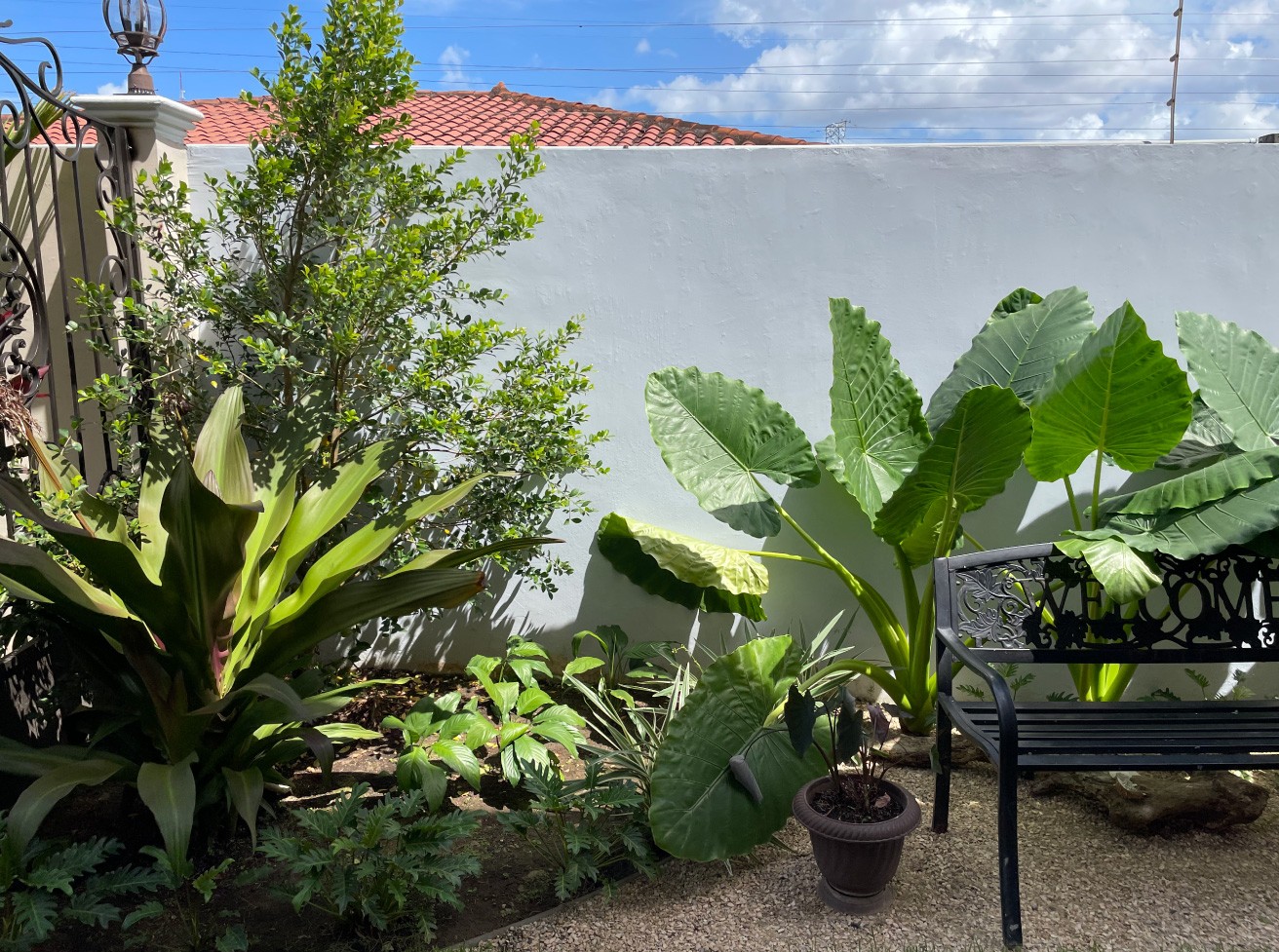 Especialistas en arquitectura en Panamá, diseño de interiores y paisajismo. Crea espacios únicos y verdes para viviendas y negocios.