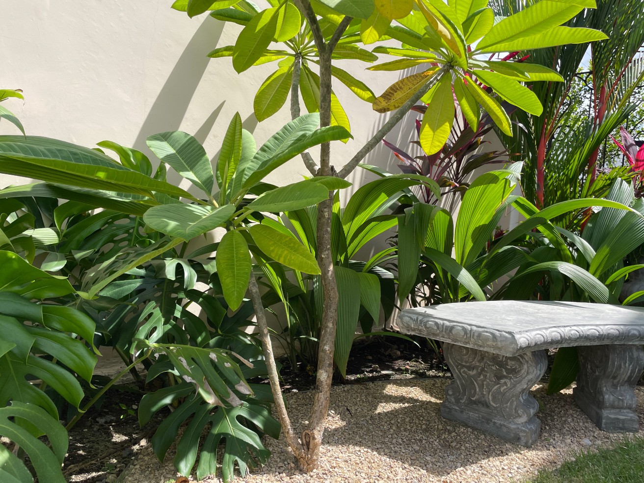 Especialistas en arquitectura en Panamá, diseño de interiores y paisajismo. Crea espacios únicos y verdes para viviendas y negocios.