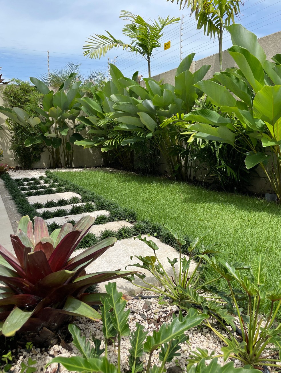 Especialistas en arquitectura en Panamá, diseño de interiores y paisajismo. Crea espacios únicos y verdes para viviendas y negocios.