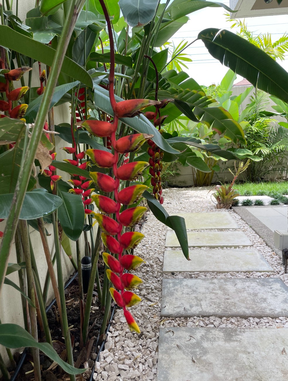 Especialistas en arquitectura en Panamá, diseño de interiores y paisajismo. Crea espacios únicos y verdes para viviendas y negocios.