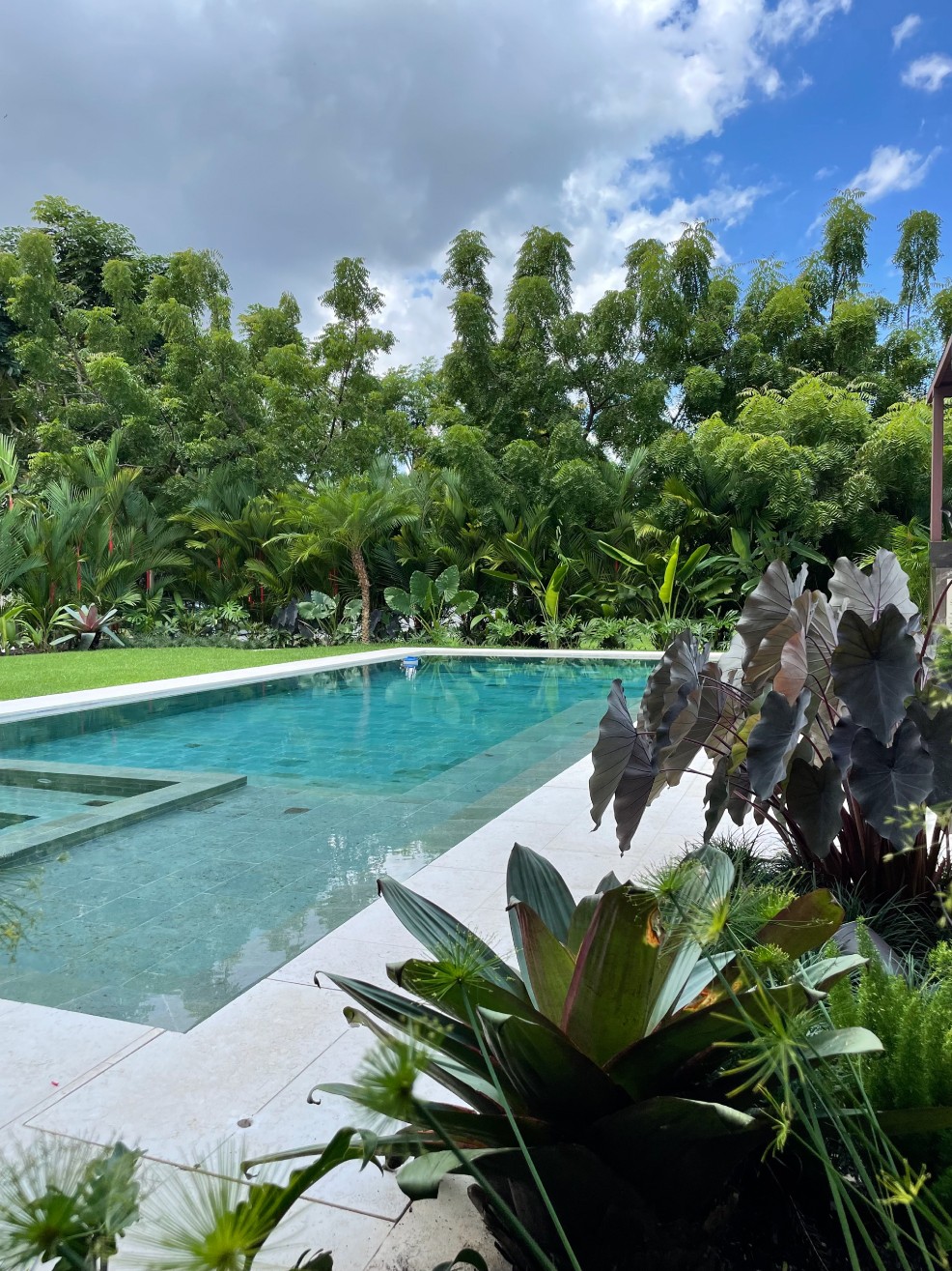 Especialistas en arquitectura en Panamá, diseño de interiores y paisajismo. Crea espacios únicos y verdes para viviendas y negocios.