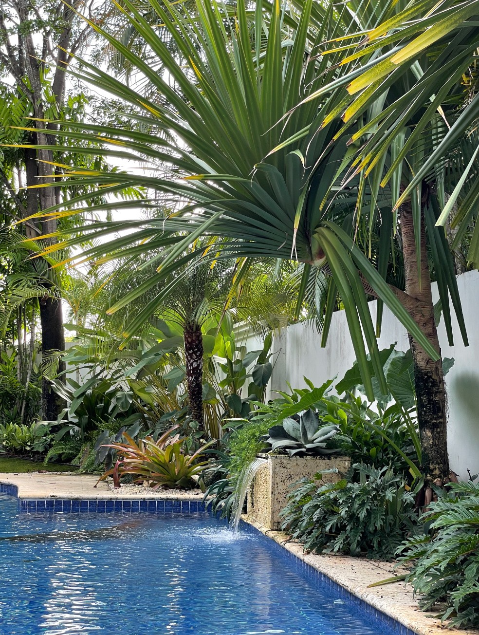 Especialistas en arquitectura en Panamá, diseño de interiores y paisajismo. Crea espacios únicos y verdes para viviendas y negocios.