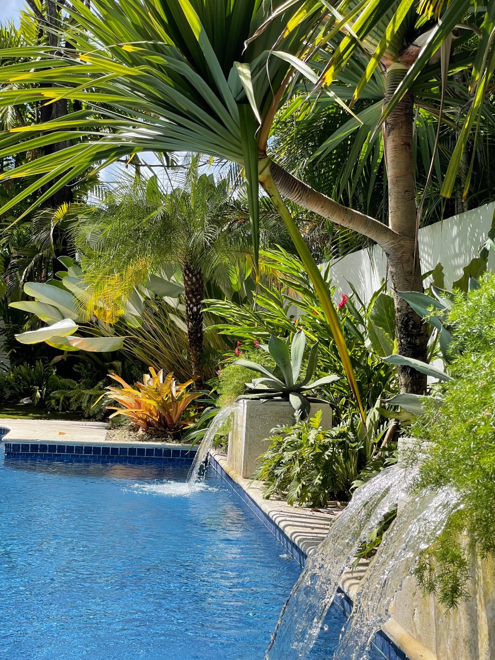 Especialistas en arquitectura en Panamá, diseño de interiores y paisajismo. Crea espacios únicos y verdes para viviendas y negocios.