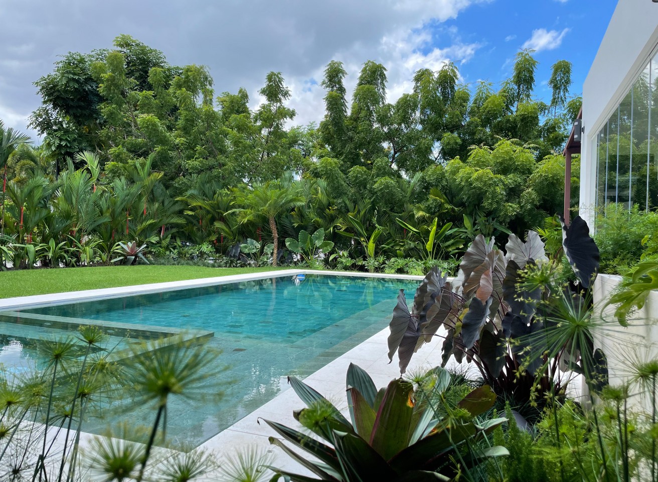 Especialistas en arquitectura en Panamá, diseño de interiores y paisajismo. Crea espacios únicos y verdes para viviendas y negocios.