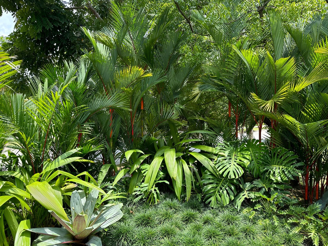 Especialistas en arquitectura en Panamá, diseño de interiores y paisajismo. Crea espacios únicos y verdes para viviendas y negocios.