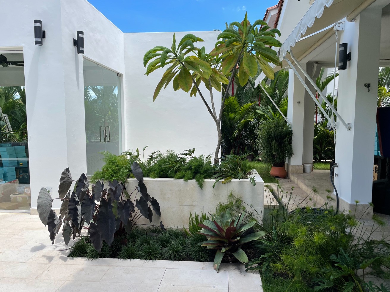 Especialistas en arquitectura en Panamá, diseño de interiores y paisajismo. Crea espacios únicos y verdes para viviendas y negocios.