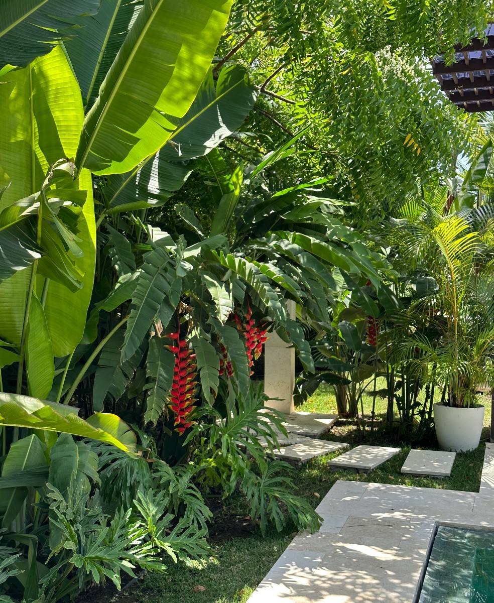 Especialistas en arquitectura en Panamá, diseño de interiores y paisajismo. Crea espacios únicos y verdes para viviendas y negocios.