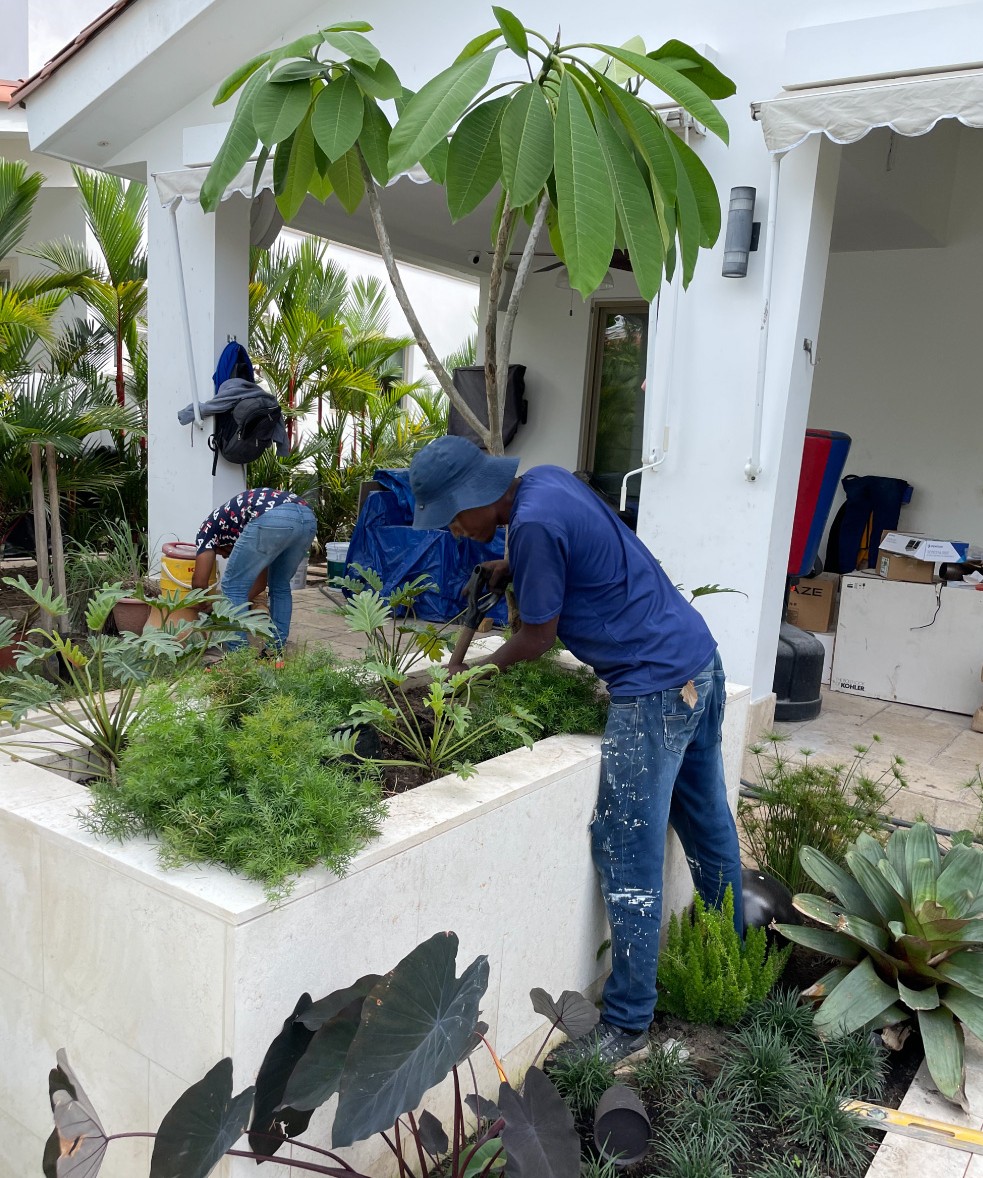 Especialistas en arquitectura en Panamá, diseño de interiores y paisajismo. Crea espacios únicos y verdes para viviendas y negocios.