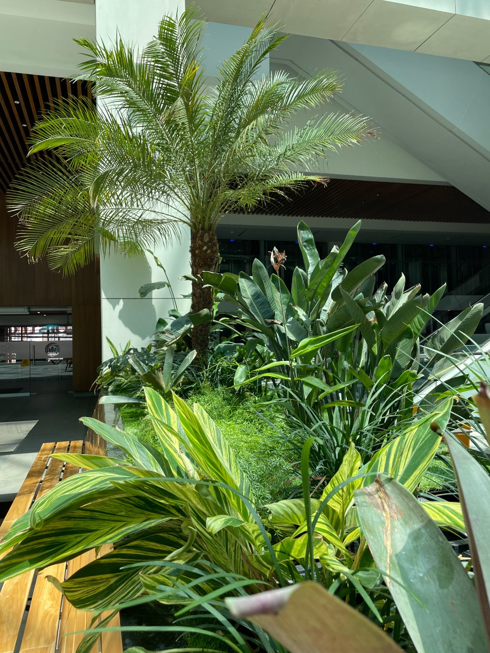 Especialistas en arquitectura en Panamá, diseño de interiores y paisajismo. Crea espacios únicos y verdes para viviendas y negocios.
