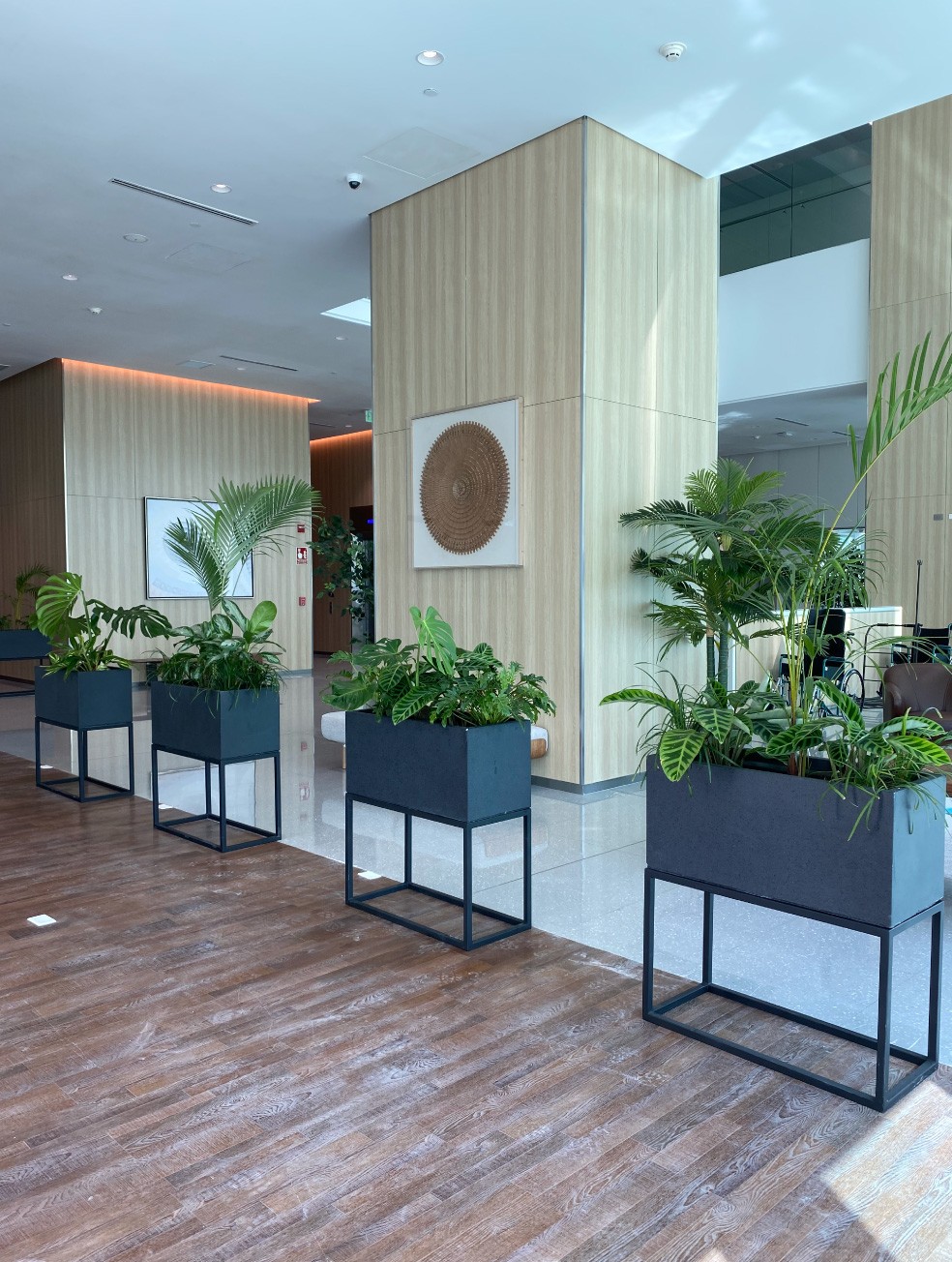 Especialistas en arquitectura en Panamá, diseño de interiores y paisajismo. Crea espacios únicos y verdes para viviendas y negocios.