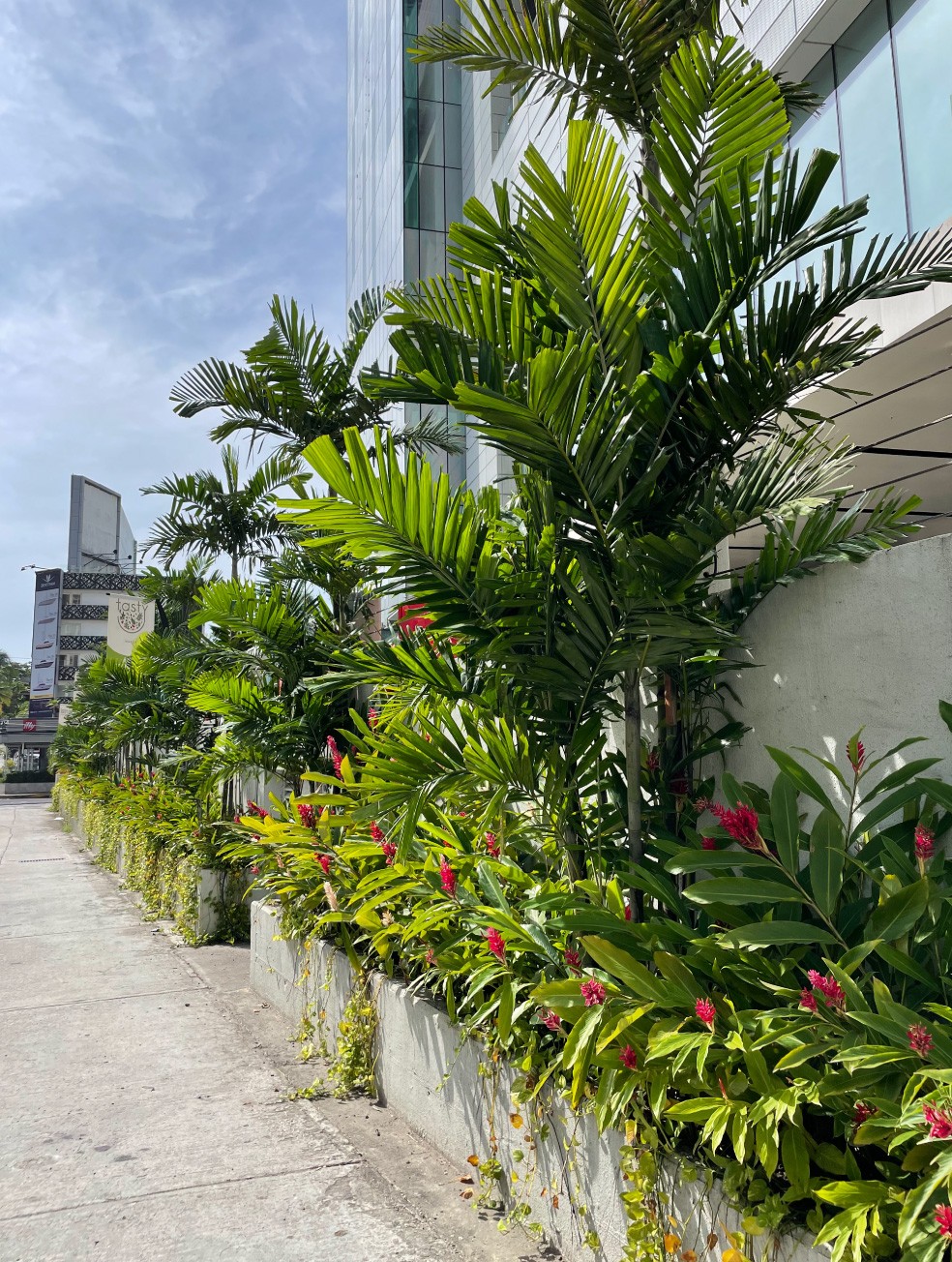 Especialistas en arquitectura en Panamá, diseño de interiores y paisajismo. Crea espacios únicos y verdes para viviendas y negocios.