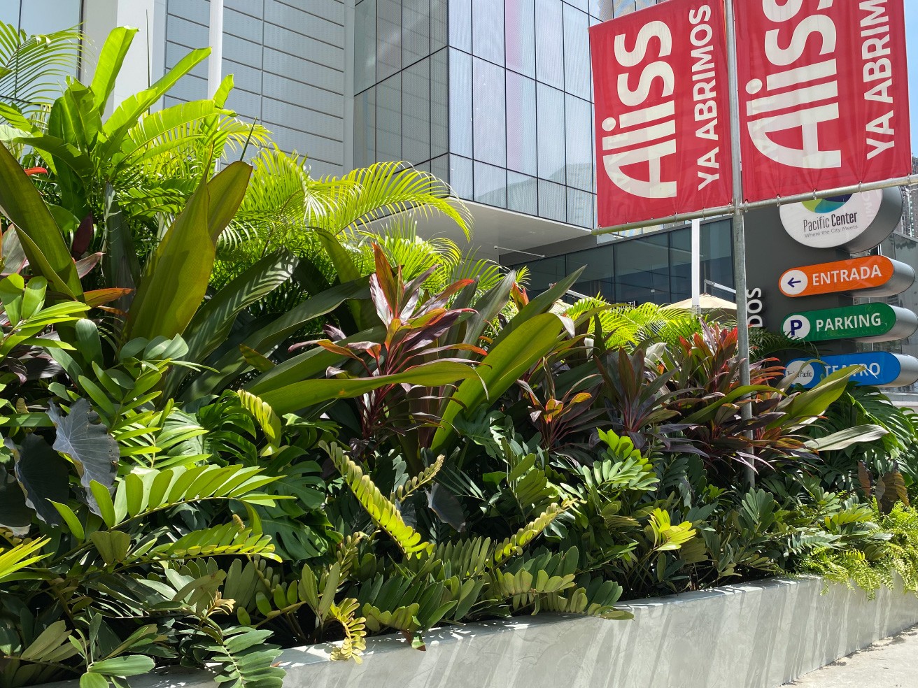 Especialistas en arquitectura en Panamá, diseño de interiores y paisajismo. Crea espacios únicos y verdes para viviendas y negocios.