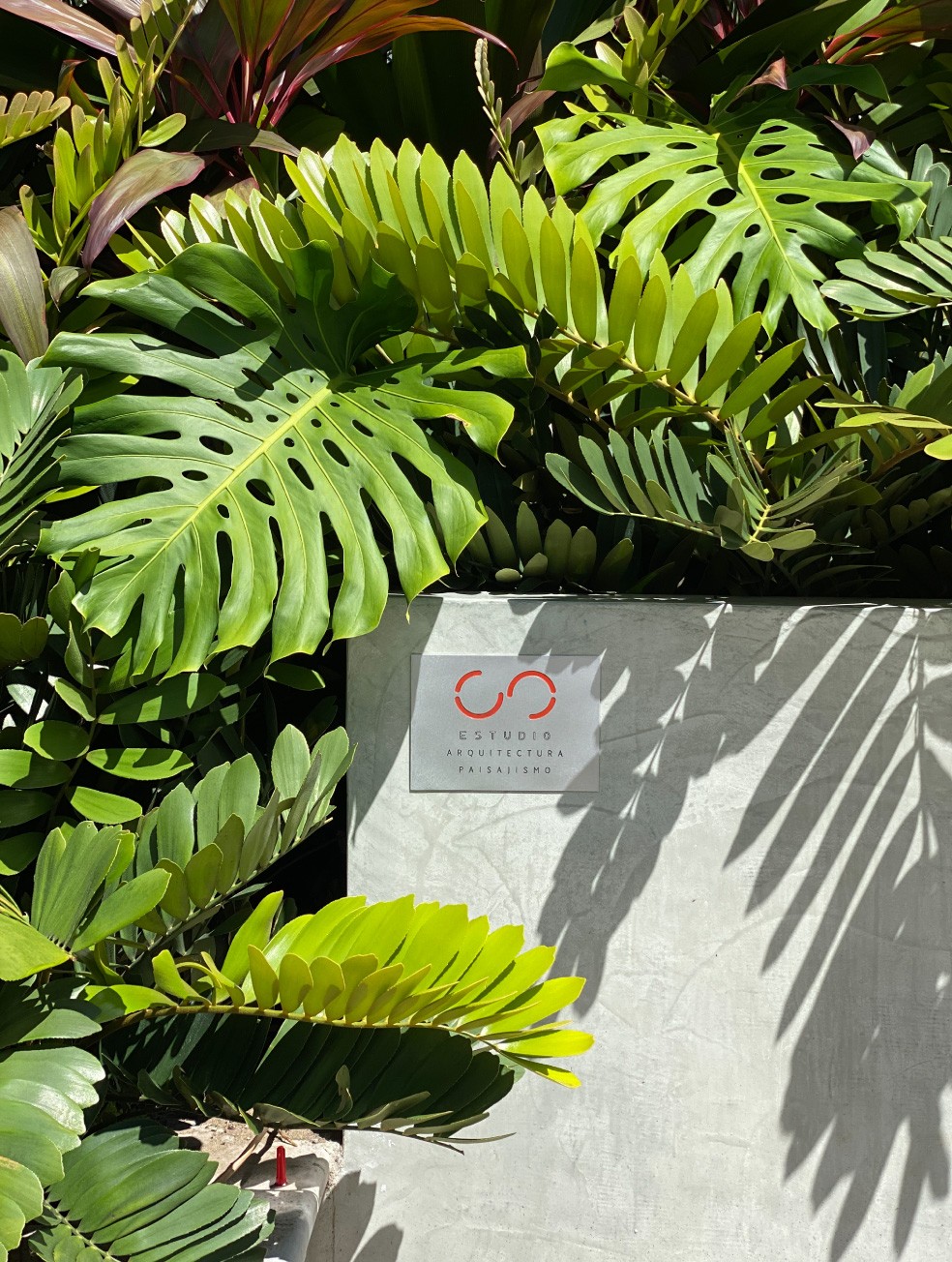Especialistas en arquitectura en Panamá, diseño de interiores y paisajismo. Crea espacios únicos y verdes para viviendas y negocios.