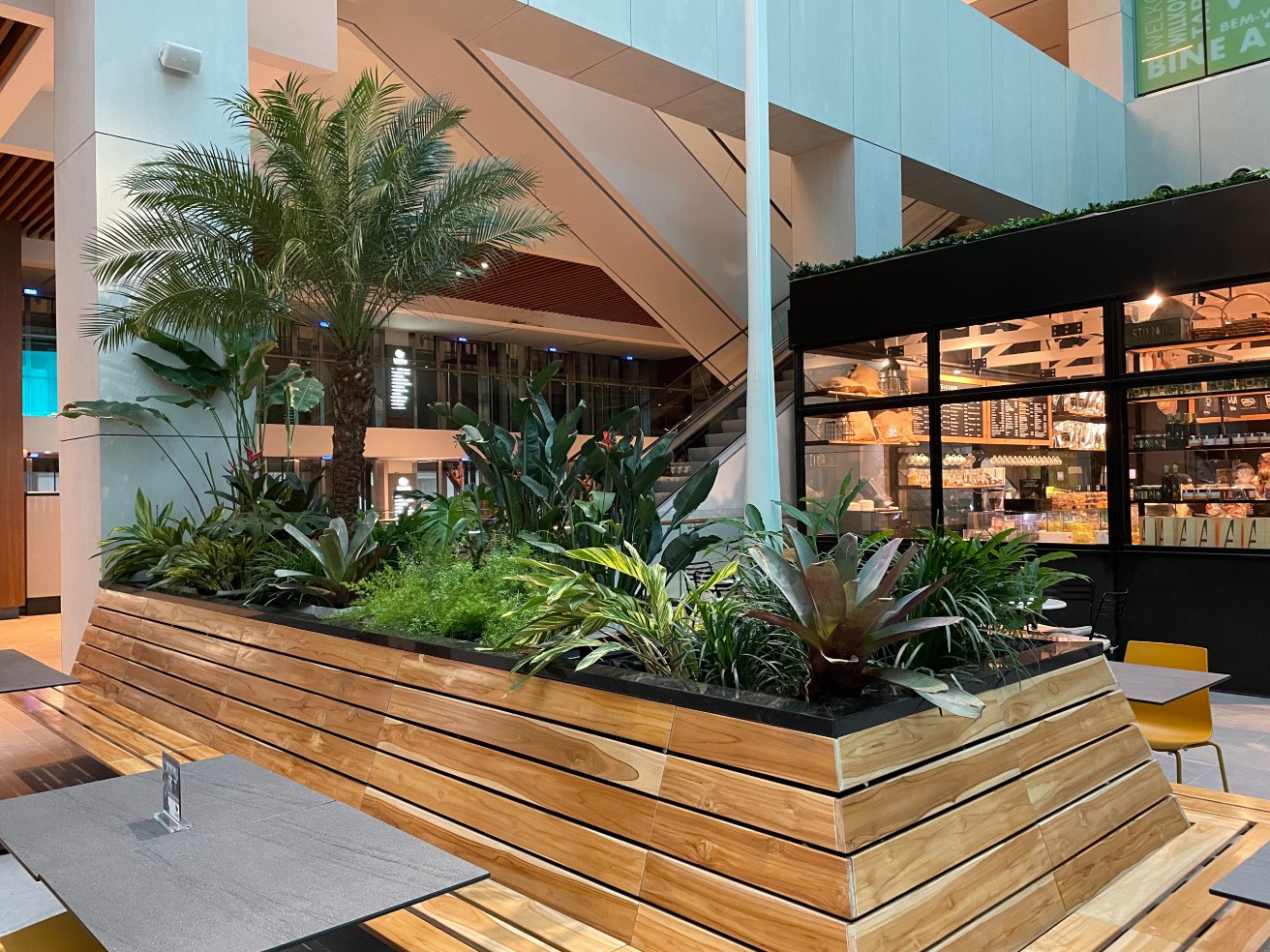 Especialistas en arquitectura en Panamá, diseño de interiores y paisajismo. Crea espacios únicos y verdes para viviendas y negocios.