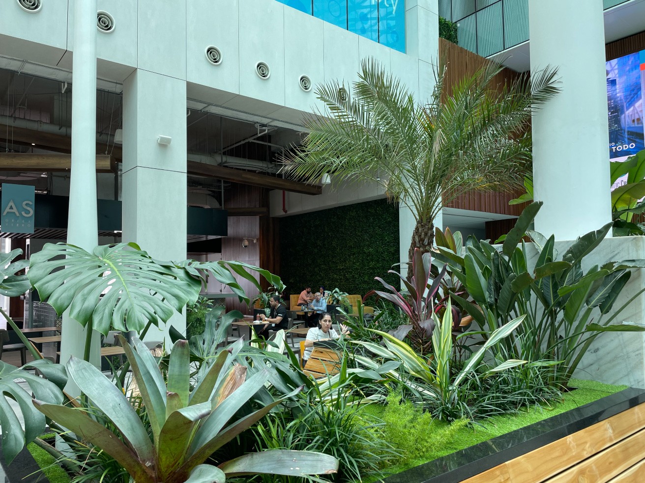 Especialistas en arquitectura en Panamá, diseño de interiores y paisajismo. Crea espacios únicos y verdes para viviendas y negocios.