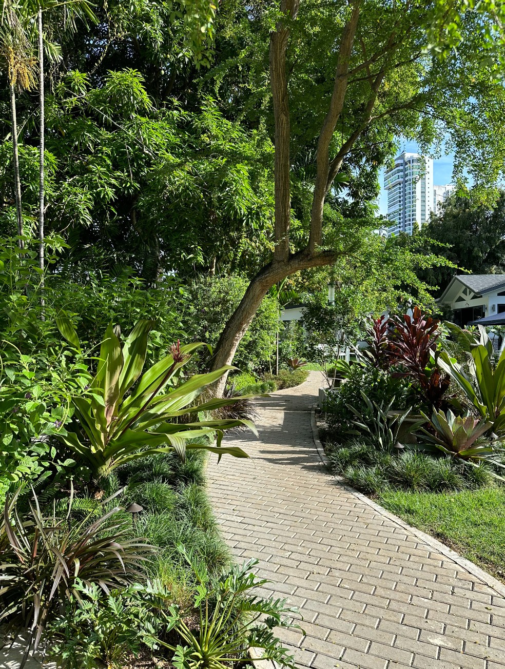 Especialistas en arquitectura en Panamá, diseño de interiores y paisajismo. Crea espacios únicos y verdes para viviendas y negocios.