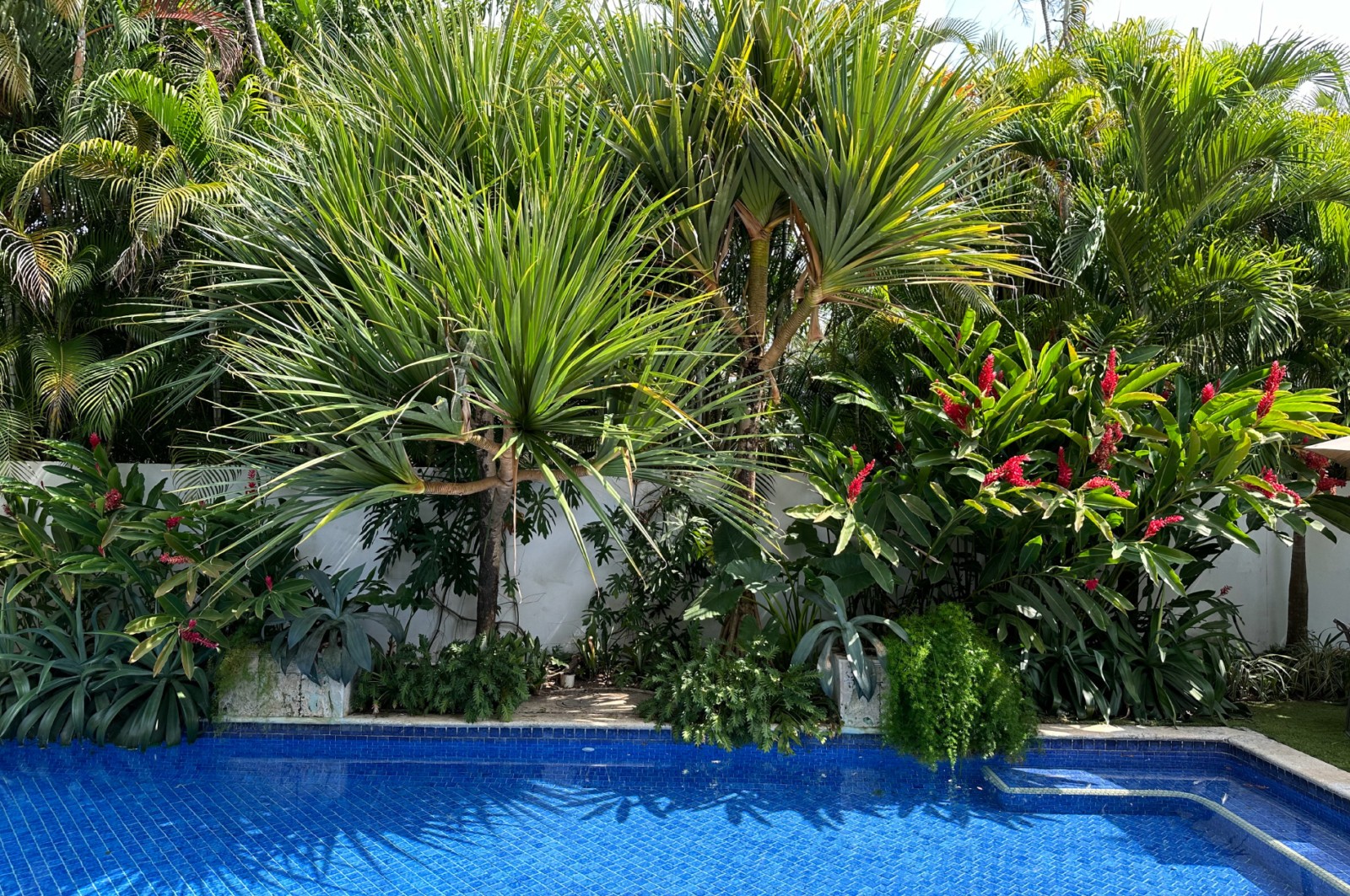 Especialistas en arquitectura en Panamá, diseño de interiores y paisajismo. Crea espacios únicos y verdes para viviendas y negocios.