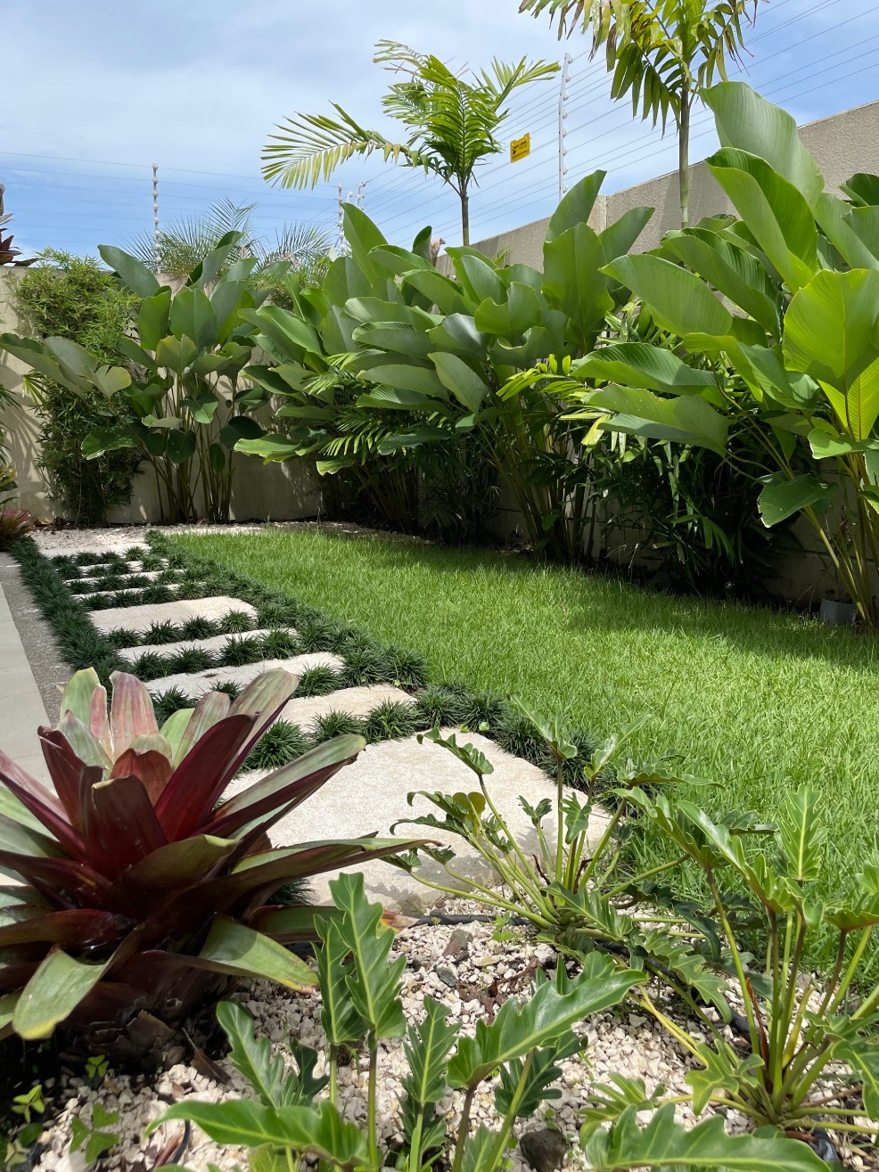 Especialistas en arquitectura en Panamá, diseño de interiores y paisajismo. Crea espacios únicos y verdes para viviendas y negocios.