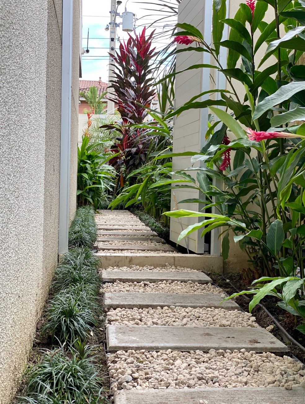Especialistas en arquitectura en Panamá, diseño de interiores y paisajismo. Crea espacios únicos y verdes para viviendas y negocios.