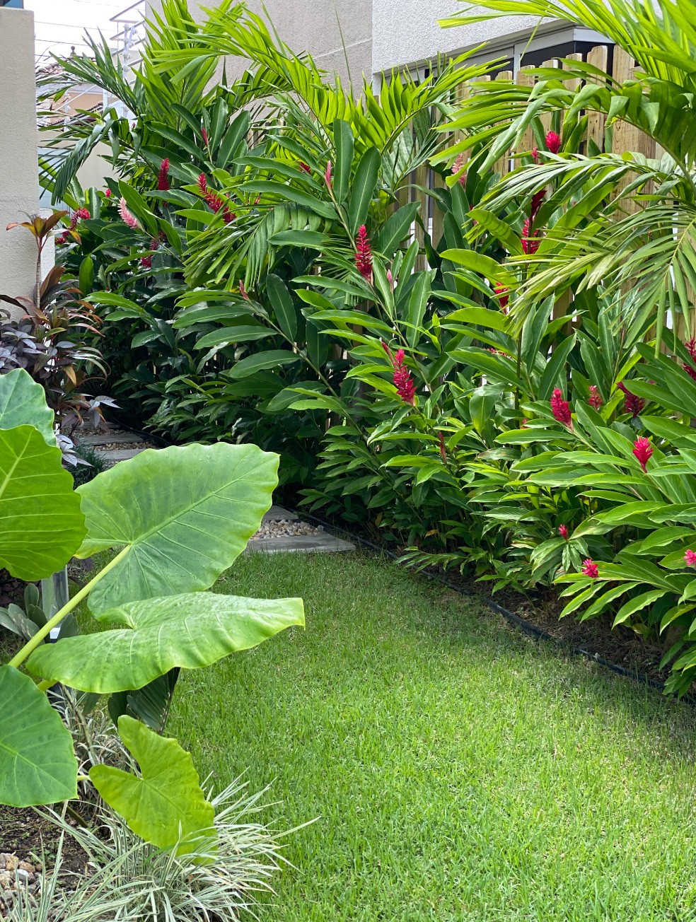 Especialistas en arquitectura en Panamá, diseño de interiores y paisajismo. Crea espacios únicos y verdes para viviendas y negocios.