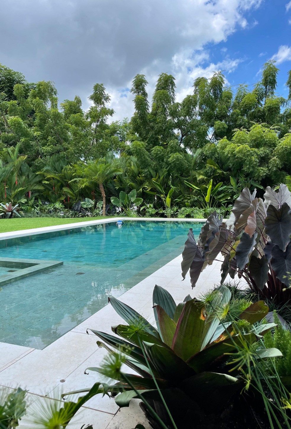 Especialistas en arquitectura en Panamá, diseño de interiores y paisajismo. Crea espacios únicos y verdes para viviendas y negocios.