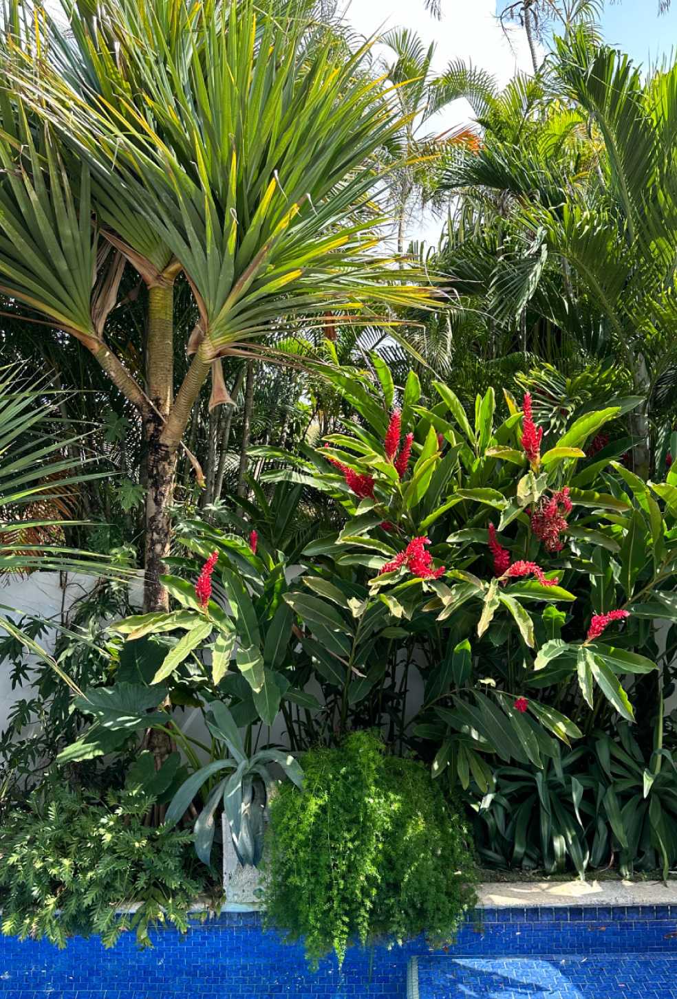 Especialistas en arquitectura en Panamá, diseño de interiores y paisajismo. Crea espacios únicos y verdes para viviendas y negocios.