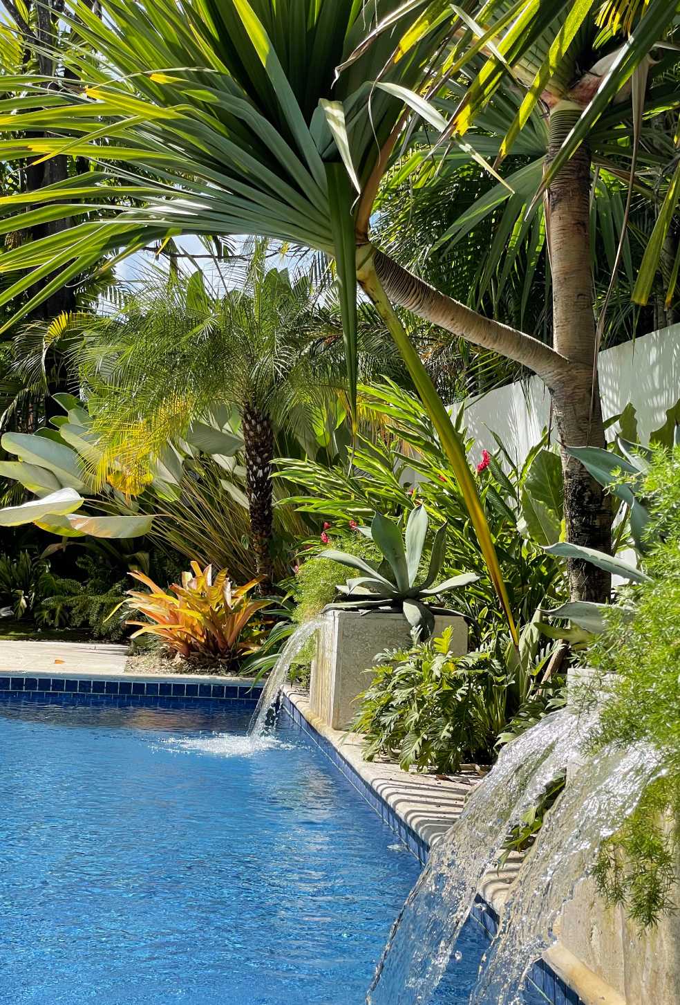 Especialistas en arquitectura en Panamá, diseño de interiores y paisajismo. Crea espacios únicos y verdes para viviendas y negocios.